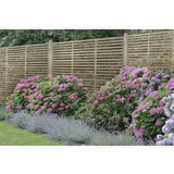 Fencing - Landscaping from Toolstation