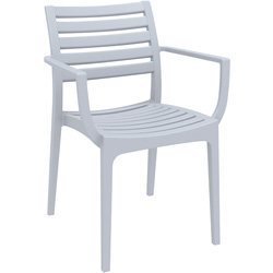 Zap / Artemis Arm Chair Silver Grey