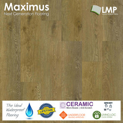 Maximus Provectus Rigid Core Flooring - Carvo