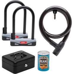 Burg-Wachter Vehicle Security Kit 