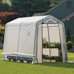 Rowlinson Rowlinson Shelterlogic Greenhouse in a Box 6 x 8 - 28139 - from Toolstation