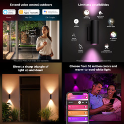 Philips Hue Appear Wall Light