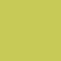 Dulux Trade / Dulux Trade High Gloss Paint Luscious Lime 1L