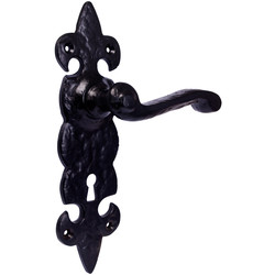 Eclipse / Fleur-De-Lys Cast Iron Door Handles Lock Antique Black