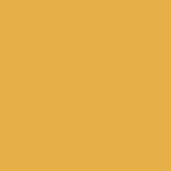 Dulux Trade Colour Sampler Paint Honey Mustard 250ml