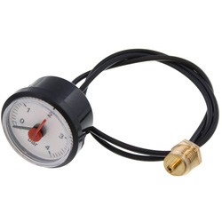 Remeha S62733 Gauge Pressure C/W Capilliary 