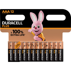 Duracell +100% Plus Power Batteries AAA