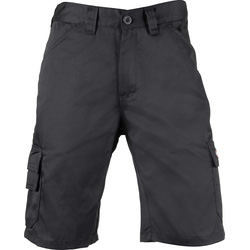 Dickies / Dickies Everyday Shorts Black 40
