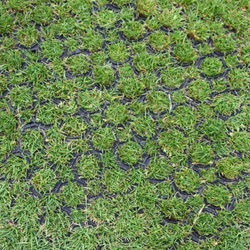 Greenskeeper Grass Mat