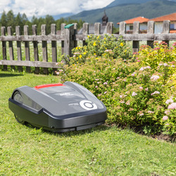 SOLO by AL-KO Robolinho R3100 25.2V 30cm Robotic Lawnmower