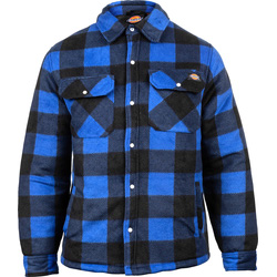 Dickies / Dickies Portland Shirt Blue L
