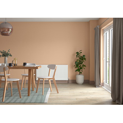 Dulux Trade Vinyl Silk Paint Sunbaked Terracotta