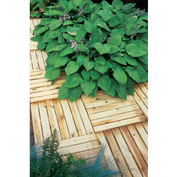 Forest Garden Ridged Deck Tile 50cm(h) x 50cm(w)