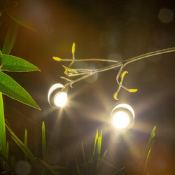 Duracell Spot 400 LV LED Garden Light IP44