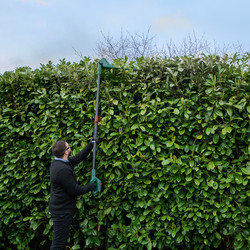 Webb 20V 50cm Cordless Long Reach Hedge Trimmer