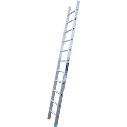 TB Davies Professional Single Section Ladder 2.5m