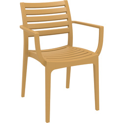 Zap / Artemis Arm Chair Teak