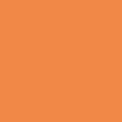 Dulux Trade Satinwood Paint Tangerine Twist 1L