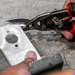 Minotaur Aviation Snips