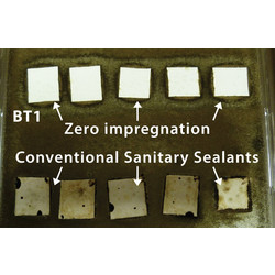 BT1 Ultimate Bathroom Sealant & Adhesive