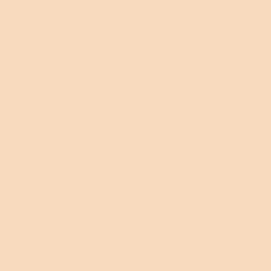 Dulux Trade Colour Sampler Paint Soft Peach 250ml