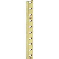 Bookcase Shelving Strip 980mm Brassed