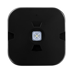 Integral LED IP44 Emergency Surface Mount Downlight
