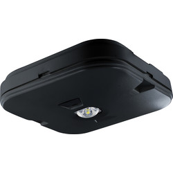 Integral LED IP44 Emergency Surface Mount Downlight Black Open Area 3W 245lm