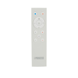 Princess 2 in 1 Smart Tower Fan