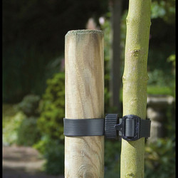 Tree Ties