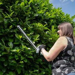 Webb 20V 50cm Cordless Hedge Trimmer