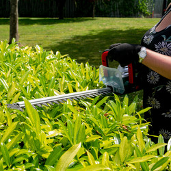 Webb 20V 50cm Cordless Hedge Trimmer