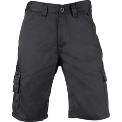 Dickies / Dickies Everyday Shorts Black 42