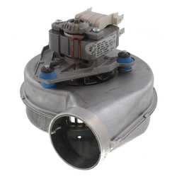 Glowworm / Glowworm S227033 Fan Sifan Ffb1701 030 