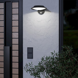 Eglo / Eglo Cerrisi Outdoor LED Solar Wall Light With Sensor 7W 800lm 3000K Black