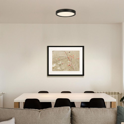 Eglo / Eglo Basic Idun-E LED Ceiling Light 17W 2000lm 4000K Black