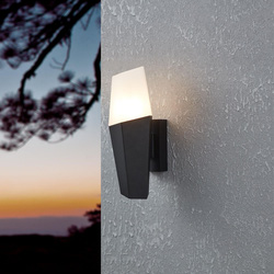 Eglo / Eglo Farindola Outdoor Wall Light Black
