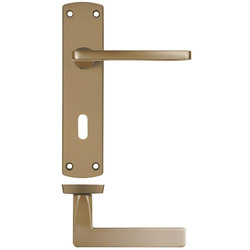 Zoo Hardware / Leon Lever on Lock Backplate Door Handle Antique Brass