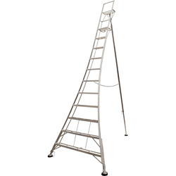 Werner / Werner Garden Ladder 11 Tread