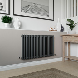 Azur / Azur Columbus 2 Column Radiator 600x1010mm 3297Btu Anthracite