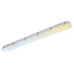 Aurora / Aurora LinearPac CWS Anti-Corrosive Batten IP66 5ft