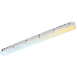 Aurora / Aurora LinearPac CWS Anti-Corrosive Batten IP66 4ft