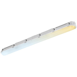 Aurora / Aurora LinearPac CWS Anti-Corrosive Batten IP66 2ft