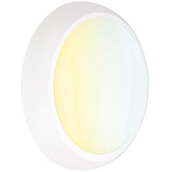 Aurora / Aurora Mestor CWS LED Bulkhead IP65 White