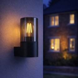 Eglo / Eglo Cropani E27 Modern Outdoor Wall Down-Light Black