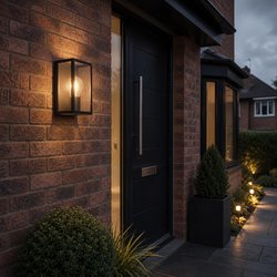 Eglo / Eglo Alamonte 1 Caged Outdoor Wall Light Black