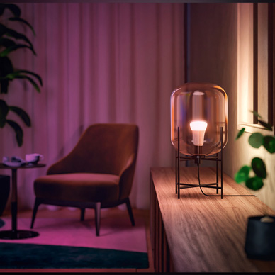 Philips Hue