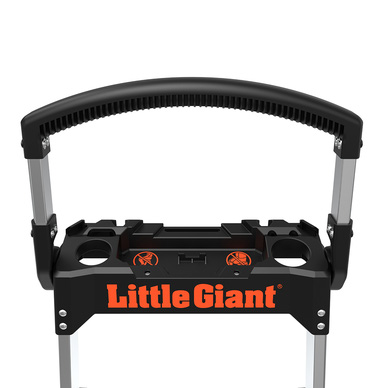 Little Giant
