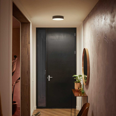 Philips Hue