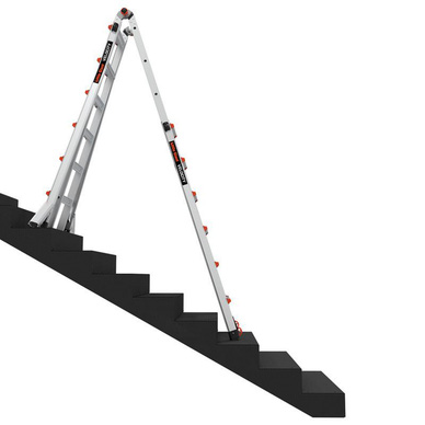 Little Giant